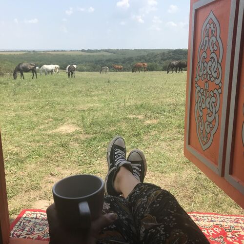 4CatsShelter Apartman Cák 