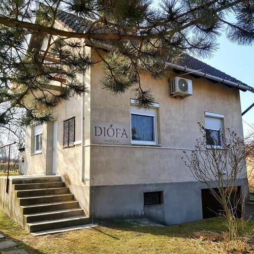 Diófa Vendégház Daruszentmiklós 2 Diófa Vendégház Daruszentmiklós