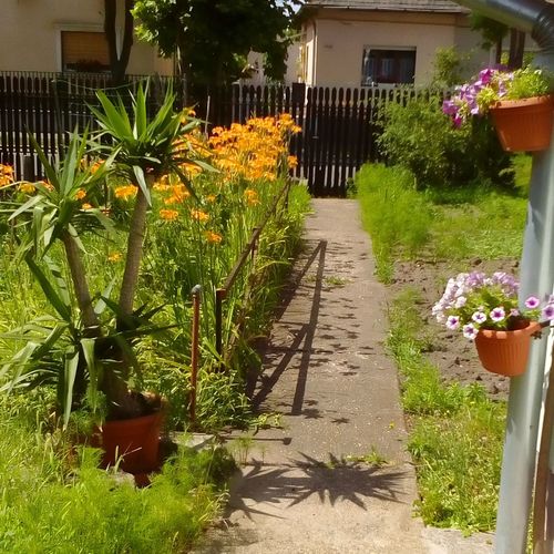 A-BB-LAK Vendégház Hajdúszoboszló 