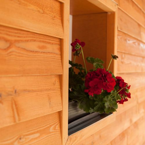 Dorottya Vendégház Hódmezővásárhely 