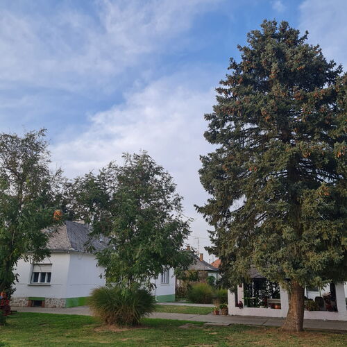 Dupla Espresso Pihenő Birtok Vajszló 3 Dupla Espresso Pihenő Birtok Vajszló