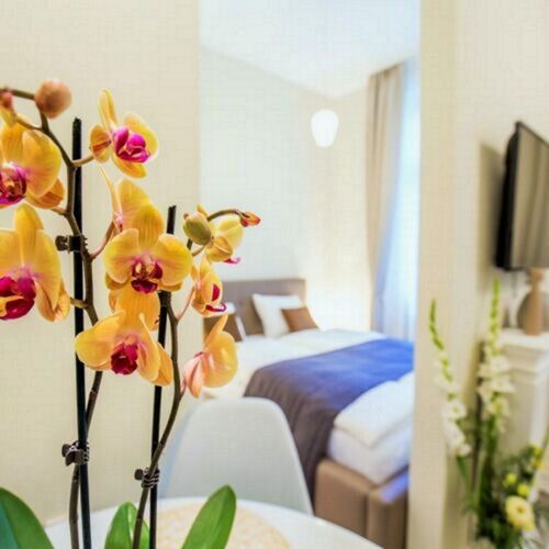 Eden Center Home Győr 