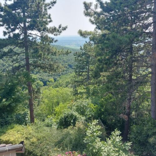 Elisa Rezi-Dencia Apartman Rezi 