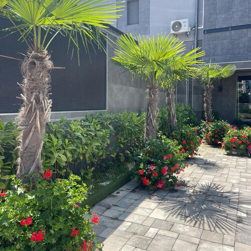 Ellipsum Vendégház Miskolctapolca 