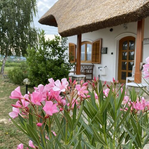 Emese Apartman Cserszegtomaj 