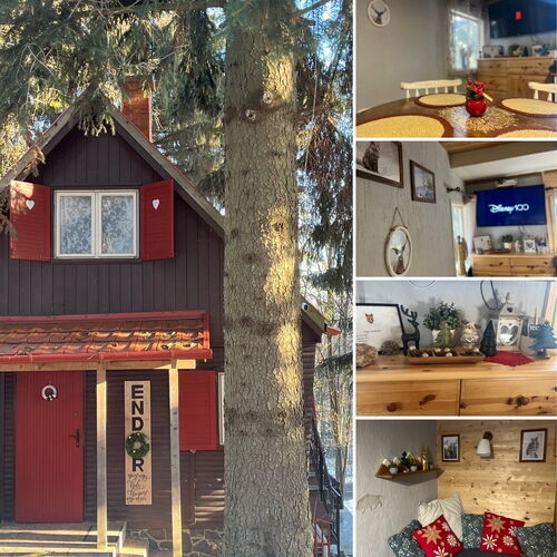 Áfonya Vendégház Őriszentpéter 