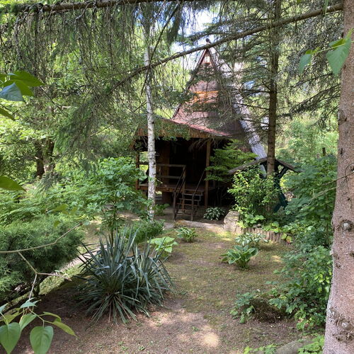 Erdei-lak Faházikó Bélapátfalva 