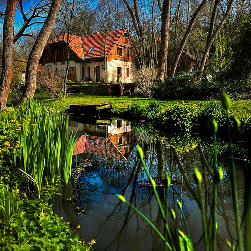Erdőszéli Vendégház Pilisszentlászló 