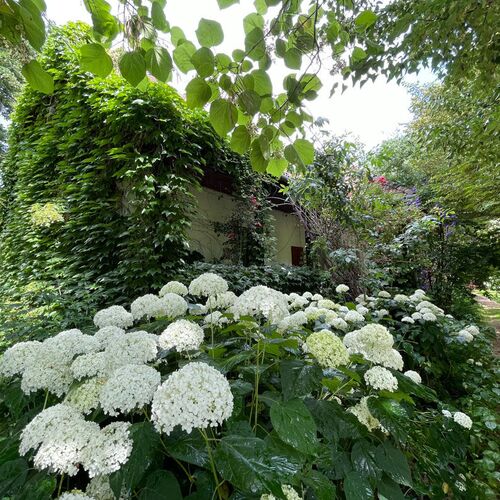 Patyi Étterem és Hotel Bögöte 