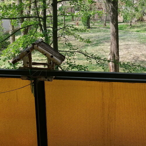 Erzsébet Vendégház Szarvas 