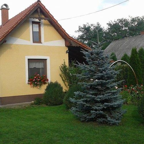 Andrea Apartman Székesfehérvár 