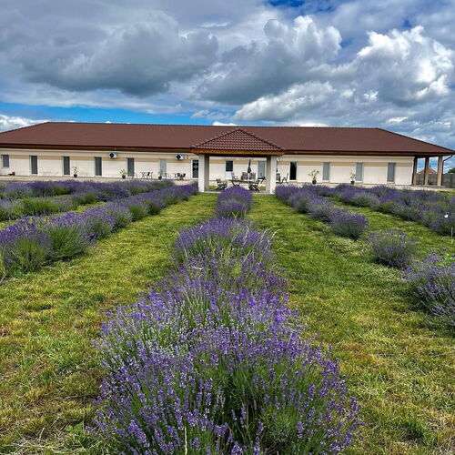 Ezüst Mező Vendégház Nagyecsed 1 Ezüst Mező Vendégház Nagyecsed