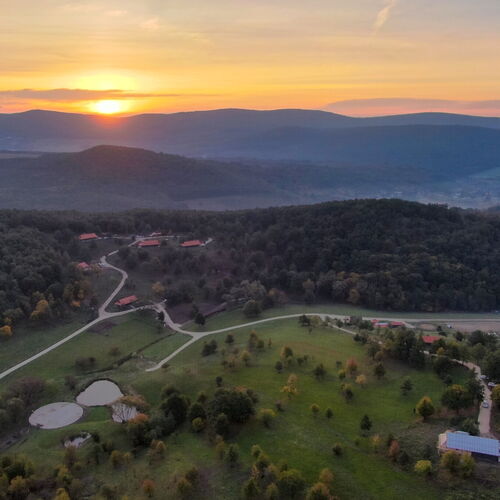 Farkaskútvölgy Hollókő 