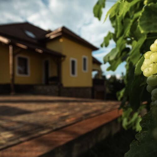 Fecskefészek Vendégház Egerszalók 3 Fecskefészek Vendégház Egerszalók