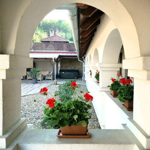 Fehér Galamb Vendégház Tolmács 