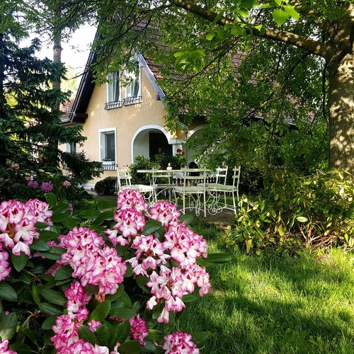 Viola Apartman Szeged 