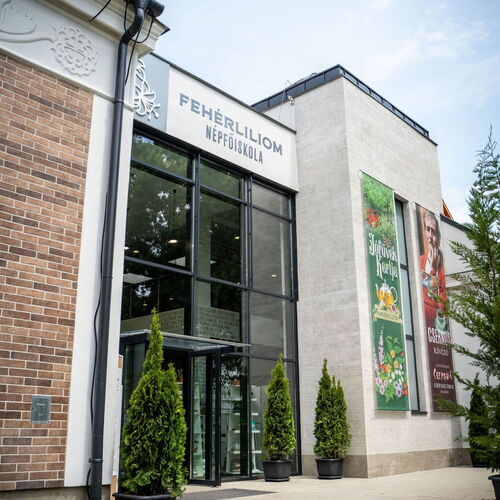 Fehérliliom Vendégszálló Kondoros 