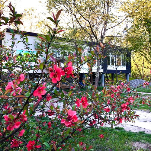 Csi – Pet Apartman Kehidakustány 