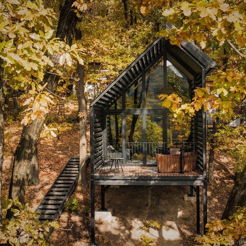 Fekete Rigó Noszvaj 