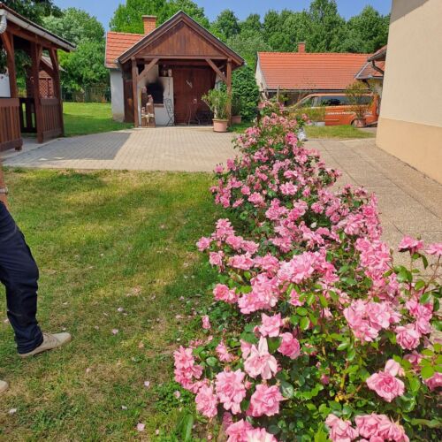 Sára Vendégház Szilvásvárad 