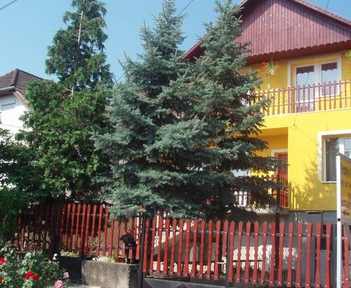 Fenyő Vendégház Egerszalók 