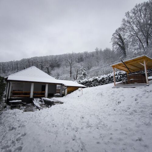 Forest Residence Miskolc 