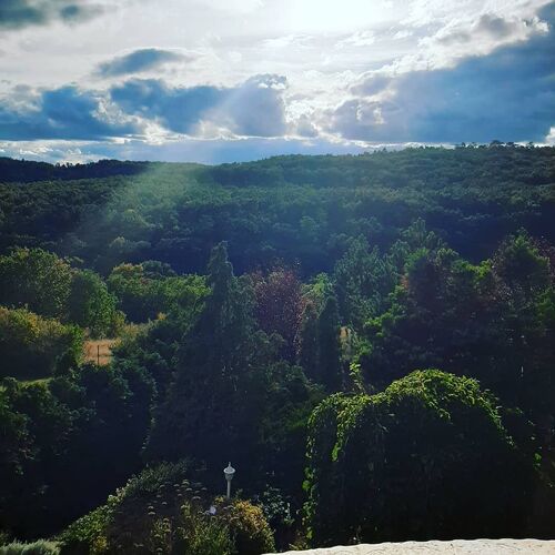 Forrás Hegyi Apartman Felsőörs 