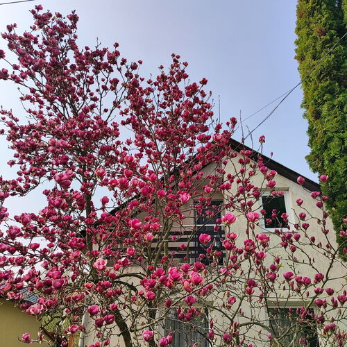 Frédi Vendégház Bogács 