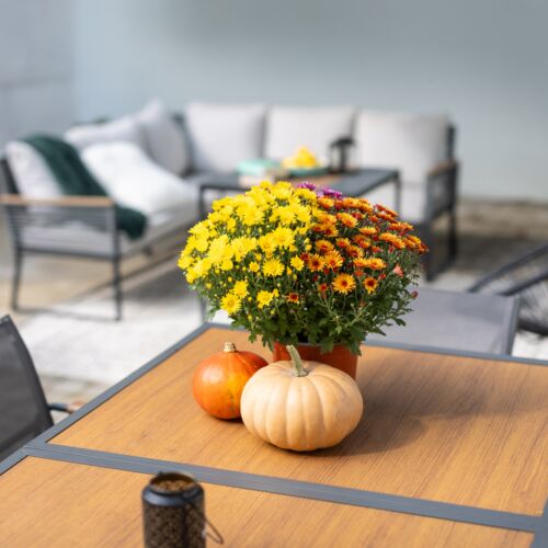 Frizzante Vendégház Badacsonytomaj 3 Frizzante Vendégház Badacsonytomaj