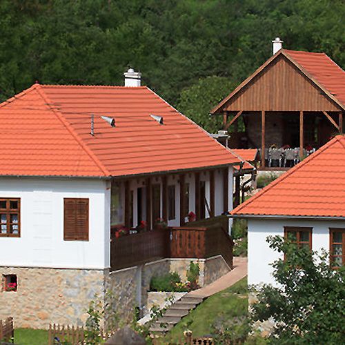 Fruktárium Vendégház Trizs 1 Fruktárium Vendégház Trizs