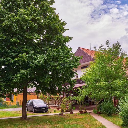 Gesztenyés Panzió Étterem Felsőtárkány 