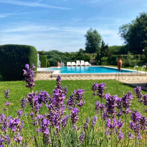 Fanni Vendégház Kishuta 