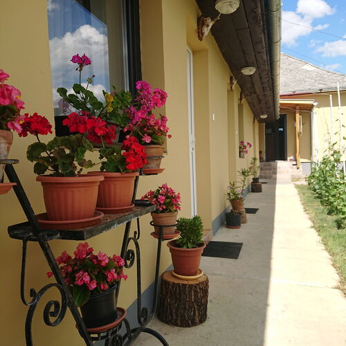 Gőgő Parti BM Tanya Nagyszekeres 