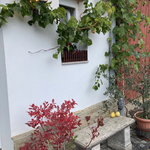 Őrségi Szalma Vendégház Szalafő 