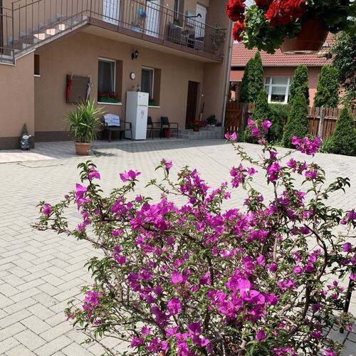 Gyöngy-Virág Vendégház Szeged 3 Gyöngy-Virág Vendégház Szeged