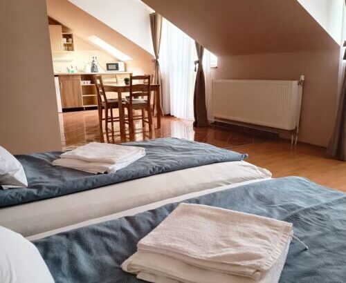 Hajdúböszörményi Gyógyapartman Hajdúböszörmény  