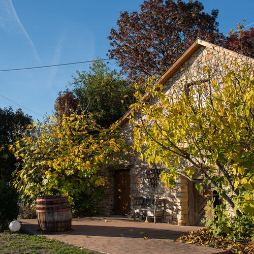 Hantos Pince Vendégház Balatonszőlős 