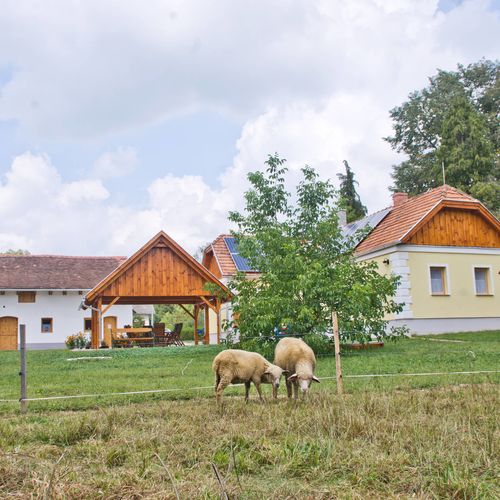 Harmatcsepp Vendégház Kercaszomor 