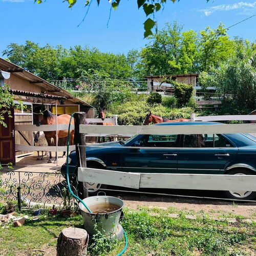 Hárpia Fészek Vendégház Pécsvárad 