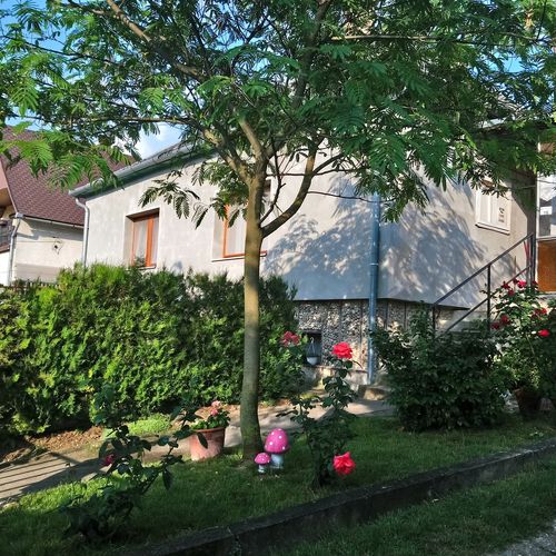 Hársfa Apartman Tamási 