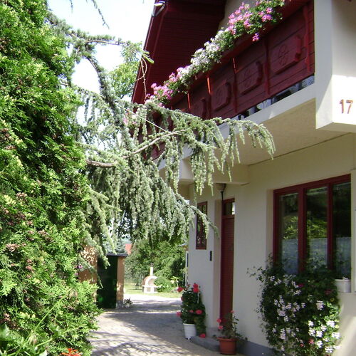 Mustármag Vendégház Noszvaj 