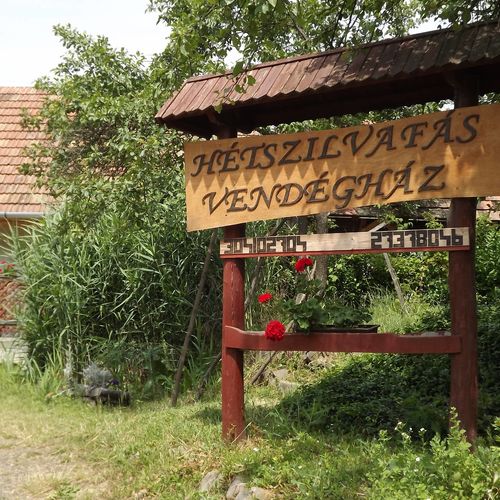 Hétszilvafás Vendégház Nagybörzsöny 