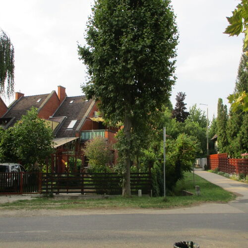 Korona Panzió Csokonyavisonta 