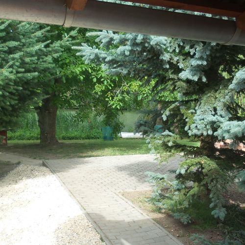 Élményvölgy Tábor Kőröshegy 