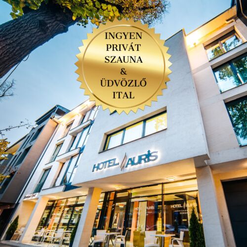 CE Plaza Hotel Siófok 