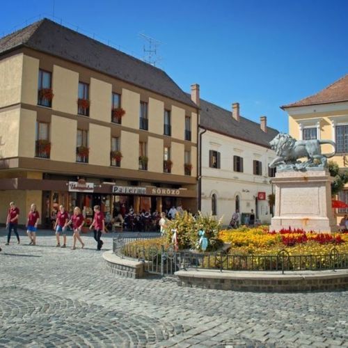 Hotel Oroszlán Szigetvár 