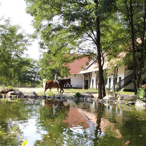 Napsugár Apartman Vonyarcvashegy 