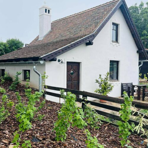 Illés Méhészet és Vendégház Felsőörs 2 Illés Méhészet és Vendégház Felsőörs