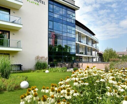 Imola Hotel Platán Eger 