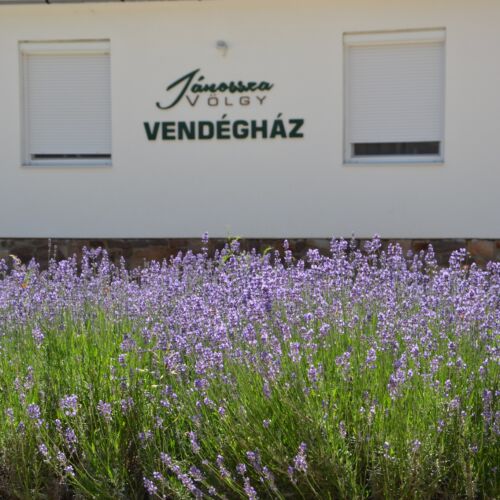 Erzsébet Vendégház Berekfürdő 